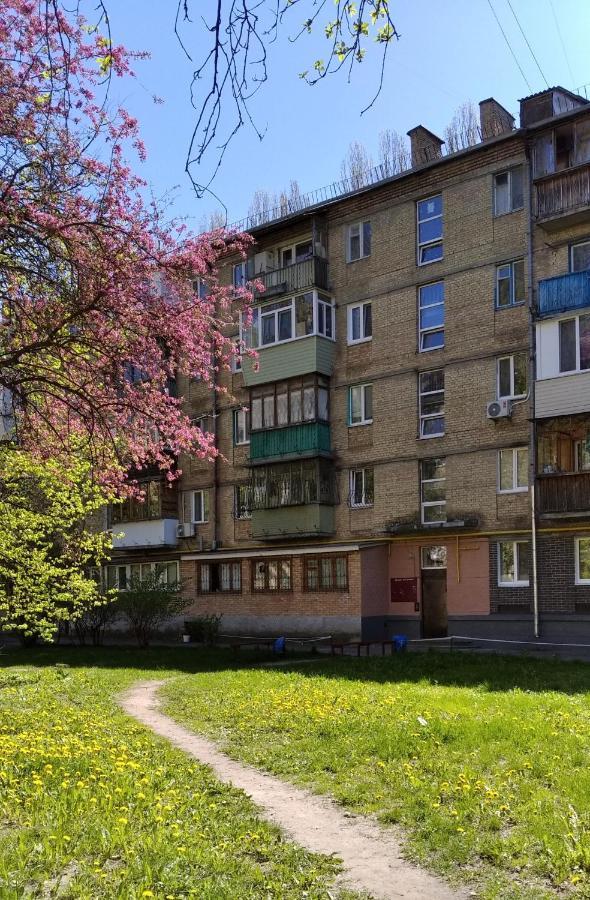 теплая квартира: Cozy Veranda Retreat In